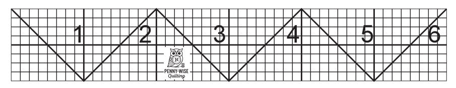 6 Inch Ruler